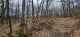 0 Upper Hibernia Rd - Photo 13