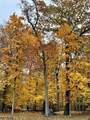 5 Buddy Ln - Photo 50