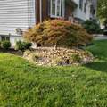 174 Liberty St - Photo 34