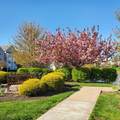 314 Biltmore Ln - Photo 44