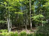 0 Devita Rd - Photo 3