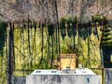 6 Hunter Dr - Photo 49