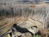 10 Pineview Ln - Photo 8