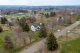 4 Melita Rd - Photo 43