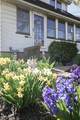 563 Pierson Street - Photo 33
