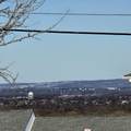 2467 State Route 10 - Photo 17