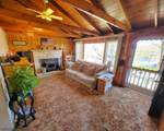 50 Alder Ter - Photo 13