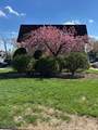 731 Belleville Ave - Photo 2