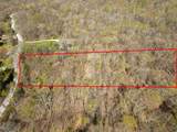 56 Plumer Rd - Photo 4