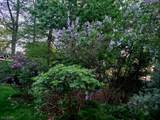 7 Squire Ln - Photo 45