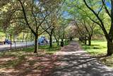 19 Willowmere Ave - Photo 40