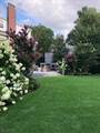 430 Ridgewood Ave - Photo 45