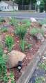 632 Brooklyn Mountain Rd - Photo 24