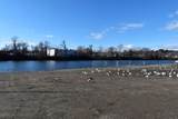 35 Elmwood Ter - Photo 32