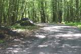 26 Fawn Run - Photo 11