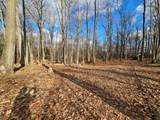 34 Starlight Dr - Photo 5