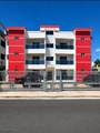 3 Bromelia - Photo 16