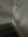 84 Scudders Rd - Photo 26