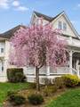 45 Hamilton Rd - Photo 4