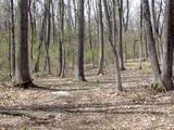 0 Mellicks Woods Rd - Photo 10