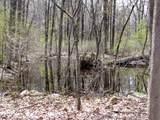 0 Mellicks Woods Rd - Photo 11