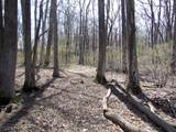 0 Mellicks Woods Rd - Photo 20