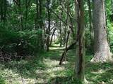 0 Mellicks Woods Rd - Photo 3