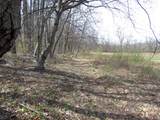 0 Mellicks Woods Rd - Photo 8