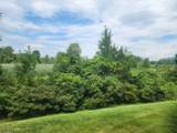 7 Maple Cres - Photo 38