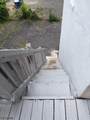 1301 S 2Nd St - Photo 11