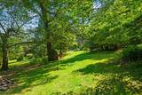 130 Kings Hwy - Photo 40