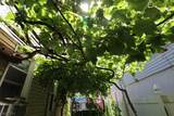119 Pacific St - Photo 8