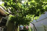 119 Pacific St - Photo 9