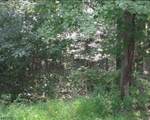 2 Palmetto Tr - Photo 11