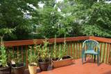 25 Haddon Rd - Photo 30