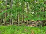 231 Old Chimney Ridge Rd - Photo 5