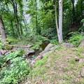 58 Hollow Rd - Photo 13