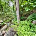 58 Hollow Rd - Photo 16