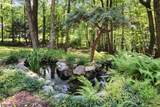 7 Janice Dr - Photo 41