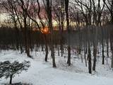 7 Janice Dr - Photo 46