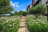 34 Deire Dr - Photo 34