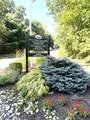 9106 Richmond Rd - Photo 3