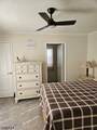 225 Albert St - Photo 14