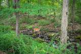 42 Scenic Dr - Photo 42