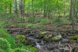 42 Scenic Dr - Photo 43
