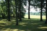 19 Exmoor Dr - Photo 4