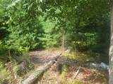 356 Rolling Ridge Rd - Photo 3