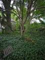 350 Sylvan Rd - Photo 18
