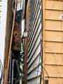 92 Garside St - Photo 3