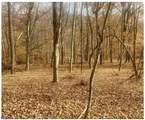 85 Cherryville Hollow Rd - Photo 1